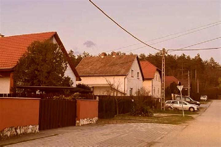 Hazel, 39 — Escort in Gubacsipuszta, Hungary