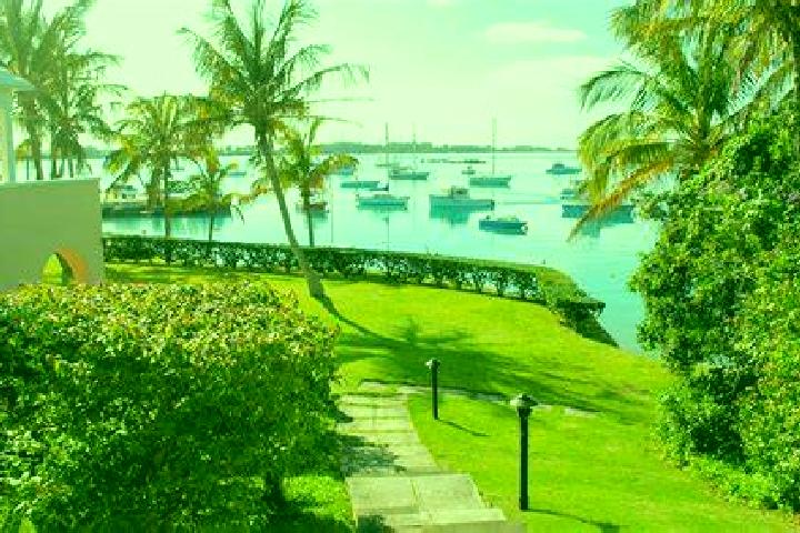 Hazel, 39 — Escort in Sandys Parish, Bermuda