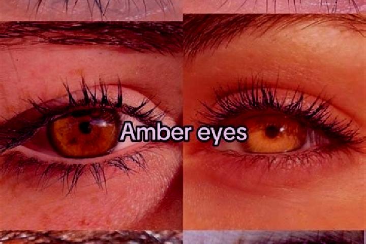 Iris, 20, a chestnut amber-eyed middle eastern companion based in Dragasz. Offering Fetish, OWO, Girlfriend Experience, Roleplay. Available for incall and ou...