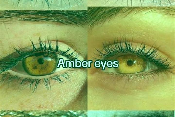 Iris, 21, a chestnut amber-eyed caucasian companion based in Arcevia. Offering OWO, Travel Companion, CIM, Tantra. Available for incall and outcall, overnigh...