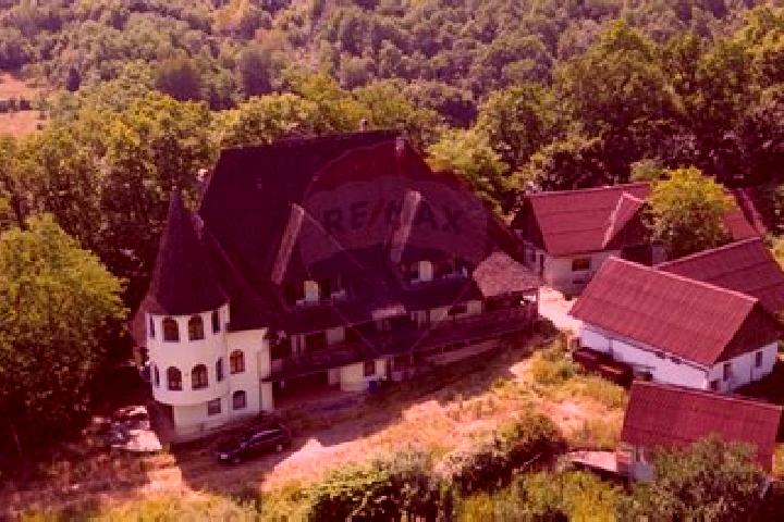 Iris, 21 — Escort in Berchezoaia, Romania