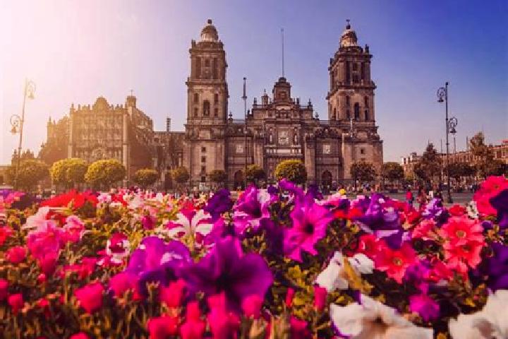 Iris, 21 — Escort in Ciudad de Armeria, Mexico