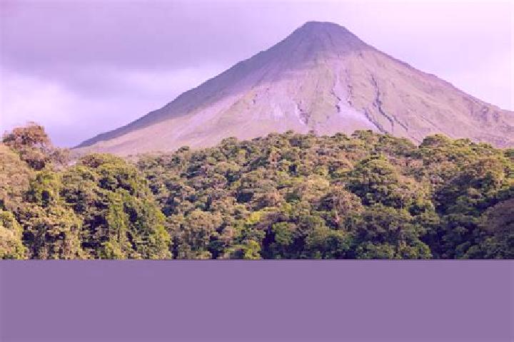 Iris, 21 — Escort in El Arenal de Abajo, Mexico
