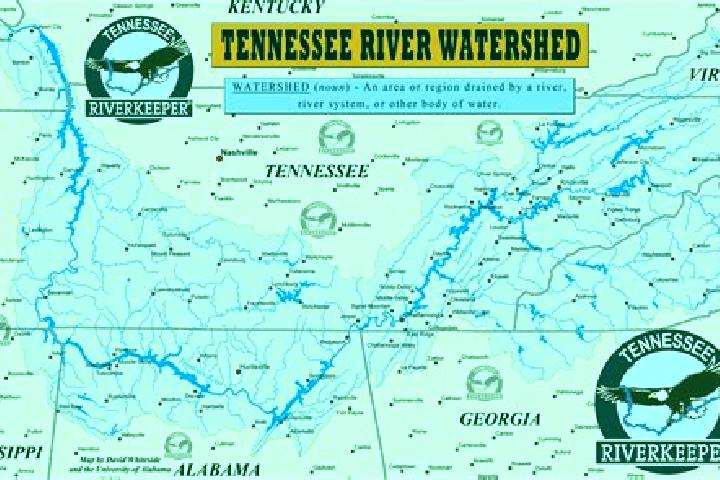 Iris, 21 — Escort in Forked River, United States