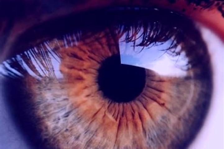 Iris, 22, a dark blonde hazel-eyed caucasian companion based in Livramento do Brumado. Offering Fetish, 69, Travel Companion, Couples. Available for incall a...
