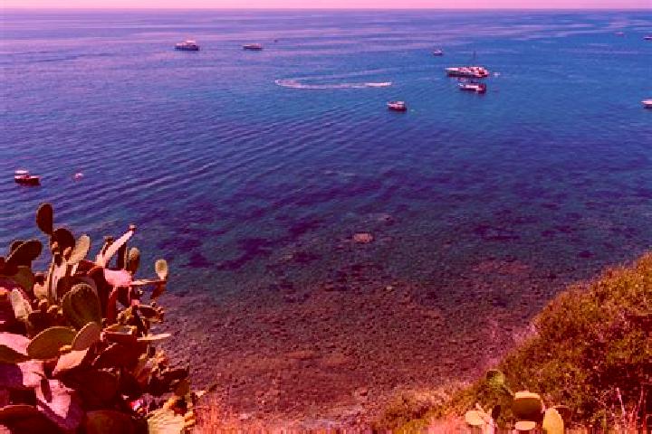 Iris, 22 — Escort in Marina di Casal Velino, Italy