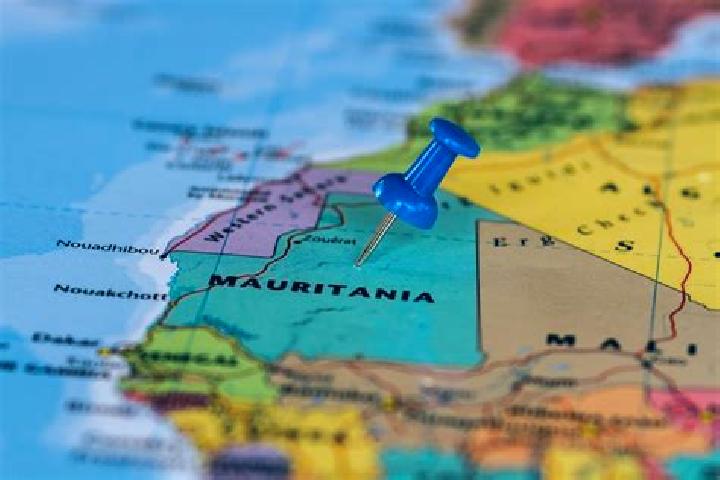 Iris, 22 — Escort in Tidjikja, Mauritania