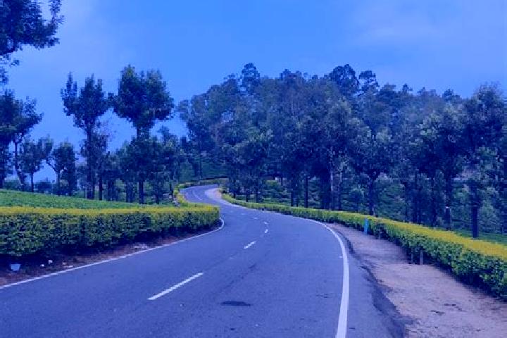 Iris, 22 — Escort in Valparai, India
