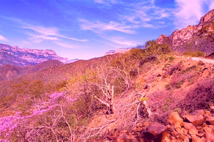 Iris, 23 — Escort in Urique, Mexico