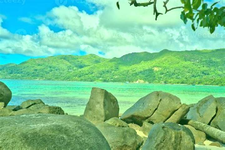Iris, 24 — Escort in Anse Royale, Seychelles