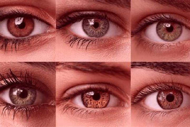 Iris, 25, a black hazel-eyed mixed companion based in Korace. Offering Domination, Roleplay, OWO, 69. Available for incall and outcall, overnight bookings av...