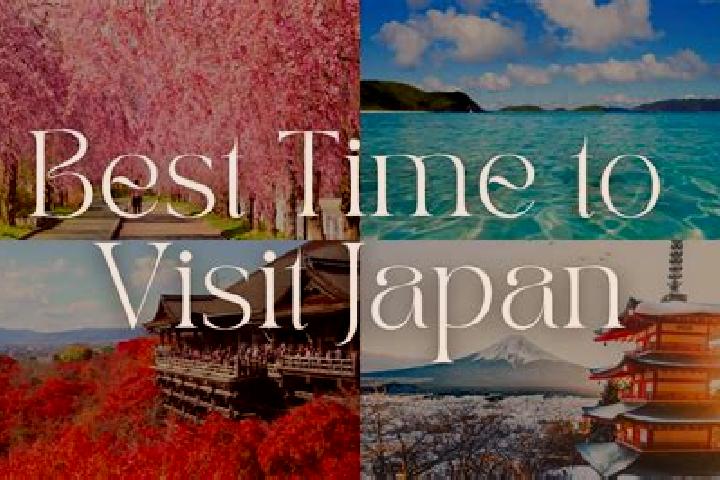 Iris, 26 — Escort in Sueyoshicho-ninokata, Japan