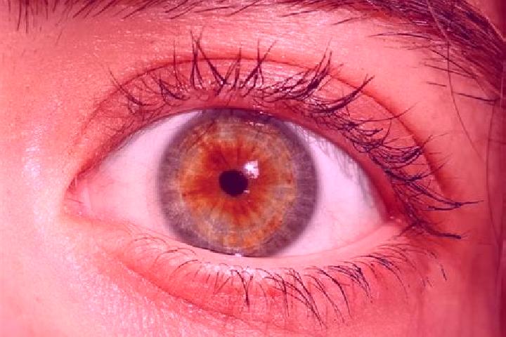 Iris, 29, a red hazel-eyed slavic companion based in Sungguminasa. Offering BDSM, Girlfriend Experience, Fetish. Available for incall and outcall, overnight ...