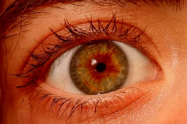 Iris, 30, a red hazel-eyed latina companion based in Ichenhausen. Offering 69, OWO, BDSM. Available for incall and outcall, day and evening dates.