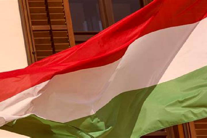Iris, 31, a red green-eyed european companion based in Maceratola. Offering BDSM, Deep French Kissing, 69, Striptease, Party Girl. Available for incall and o...