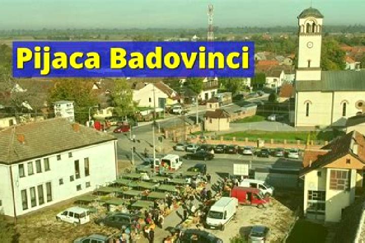Iris, 33 — Escort in Badovinci, Serbia
