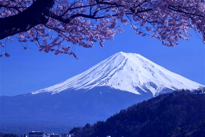 Iris, 33 — Escort in Fuji-yoshida, Japan