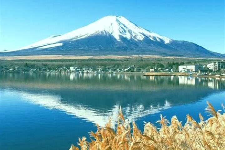 Iris, 34 — Escort in Yamanaka, Japan