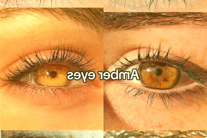 Iris, 35, a chestnut amber-eyed mixed companion based in Eitorf. Offering GFE, Massage, CIM. Available for incall and outcall, day and evening dates.