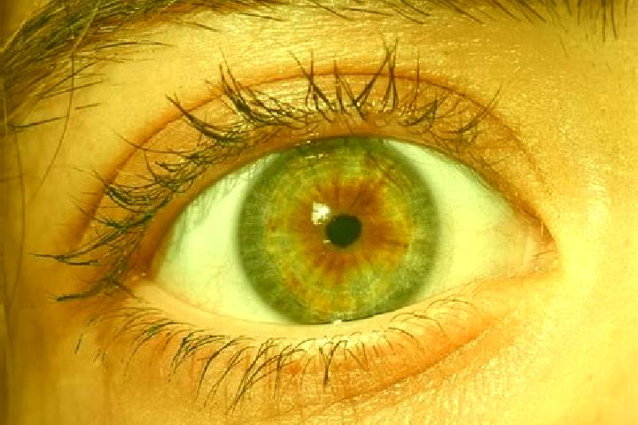 Iris, 35, a red hazel-eyed middle eastern companion based in Huellhorst. Offering Tantra, 69, GFE, Dinner Date, CIM. Available for incall and outcall, overni...