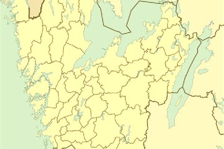 Iris, 35 — Escort in Billdal, Sweden