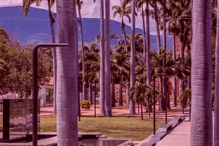 Iris, 36 — Escort in San Antonio de Los Altos, Venezuela