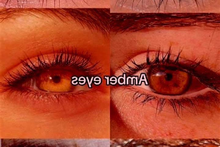 Iris, 37, a chestnut amber-eyed middle eastern companion based in Hoeganaes. Offering Tantra, Girlfriend Experience, OWO, GFE, Prostate Massage. Available fo...