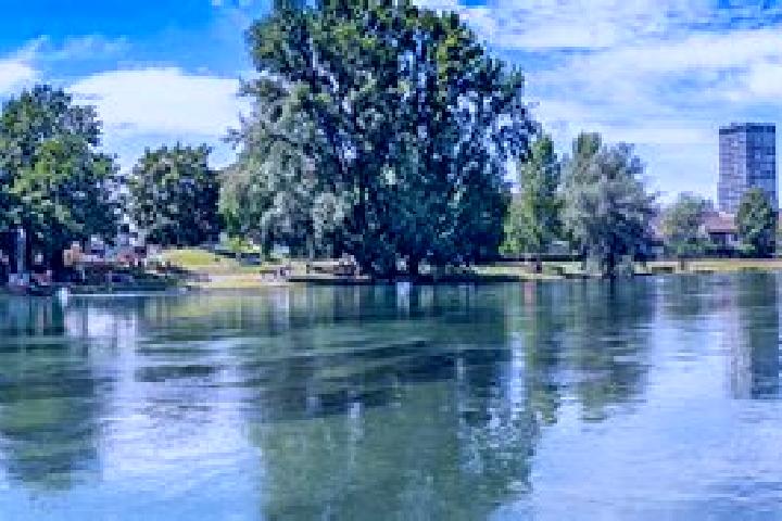 Iris, 37 — Escort in Dietikon / Guggenbuehl, Switzerland