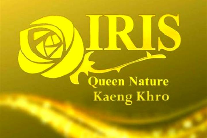 Iris, 37 — Escort in Kaeng Khro, Thailand