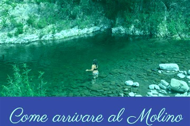 Iris, 37 — Escort in Molino del Pallone, Italy