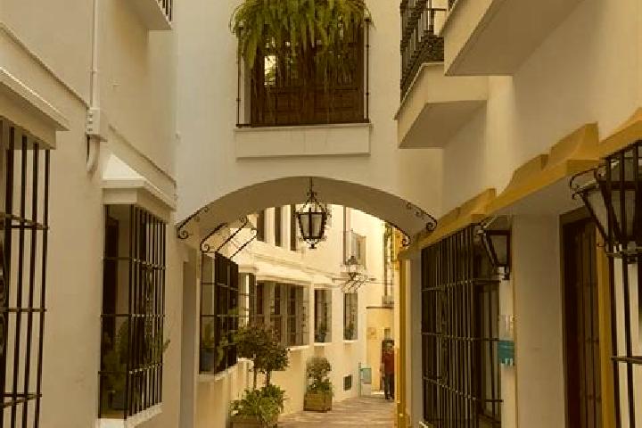 Iris, 37 — Escort in Robladillo, Spain
