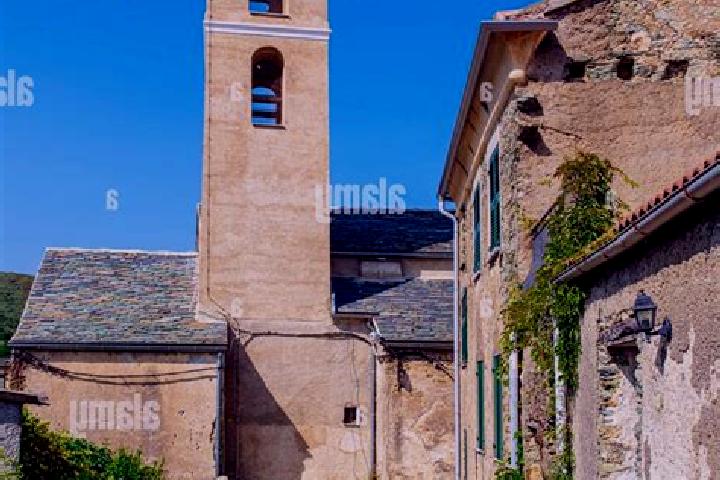 Iris, 37 — Escort in Santa-Lucia-di-Moriani, France
