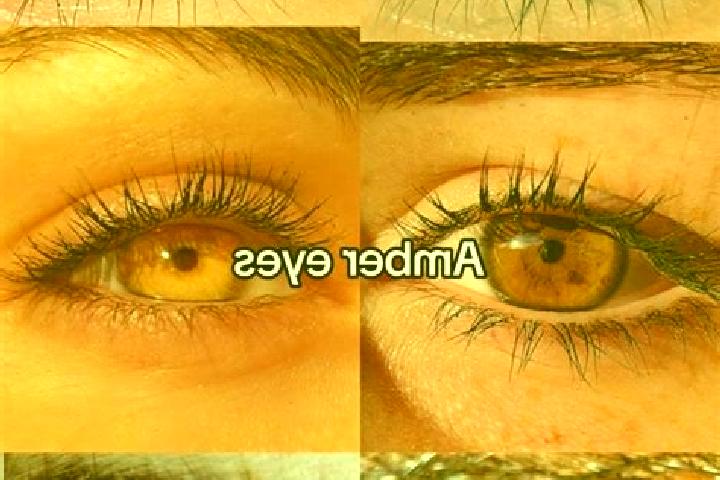 Iris, 38, a chestnut amber-eyed caribbean companion based in Silva Escura. Offering CIM, Domination, Overnight, Girlfriend Experience, Prostate Massage. Avai...