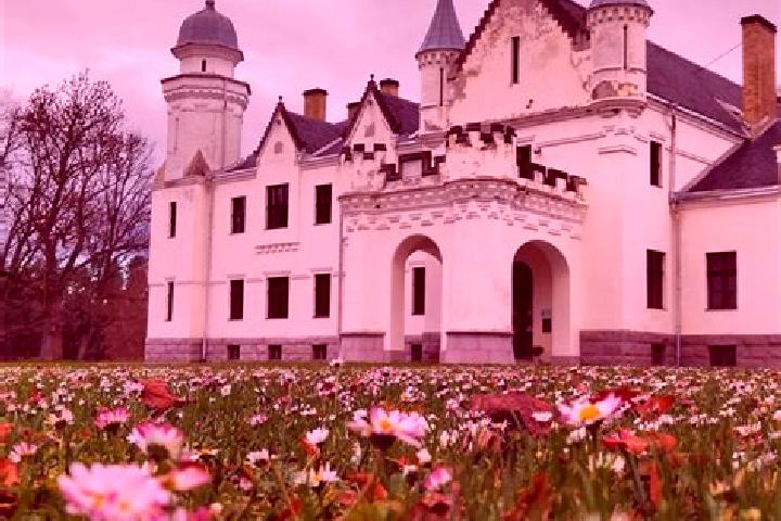 Iris, 38 — Escort in Alatskivi, Estonia