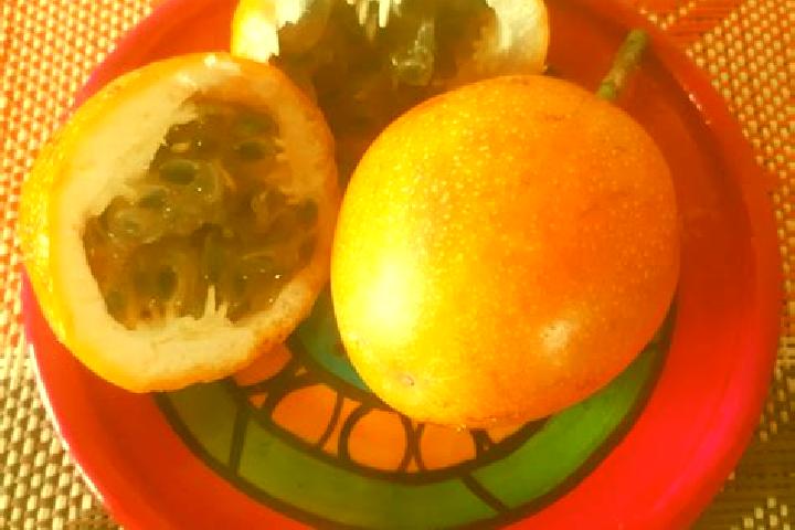 Isabella, 20 — Escort in Granadilla, Costa Rica