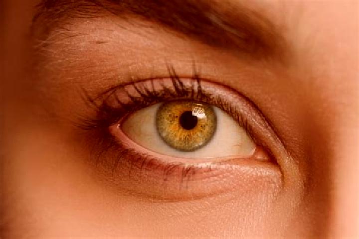Isabella, 21, a chestnut hazel-eyed mixed companion based in Andop. Offering Overnight, Domination, Duos, Striptease, Roleplay. Available for incall and outc...