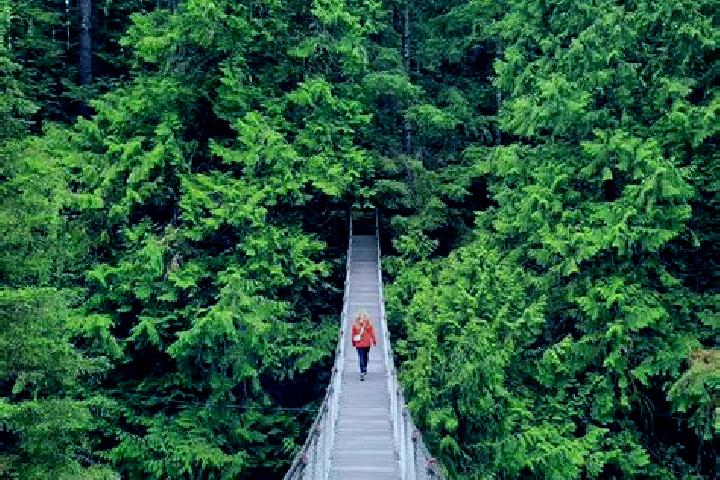 Isabella, 21 — Escort in Lynn Canyon, Canada
