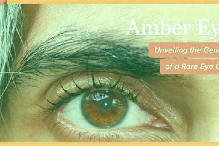 Isabella, 22, a black amber-eyed ebony companion based in Lednicke Rovne. Offering Couples, BDSM, Domination, Dinner Date. Available for incall and outcall, ...