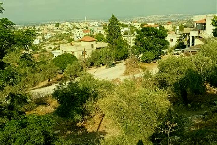 Isabella, 22 — Escort in Kafr al Labad, Palestine