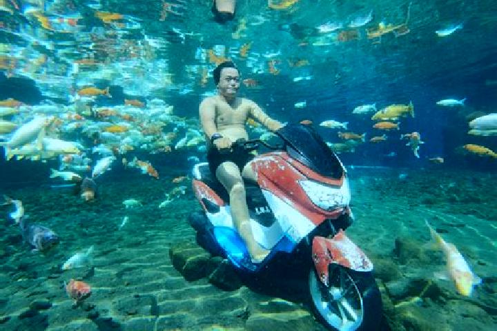 Isabella, 22 — Escort in Ponggok, Indonesia