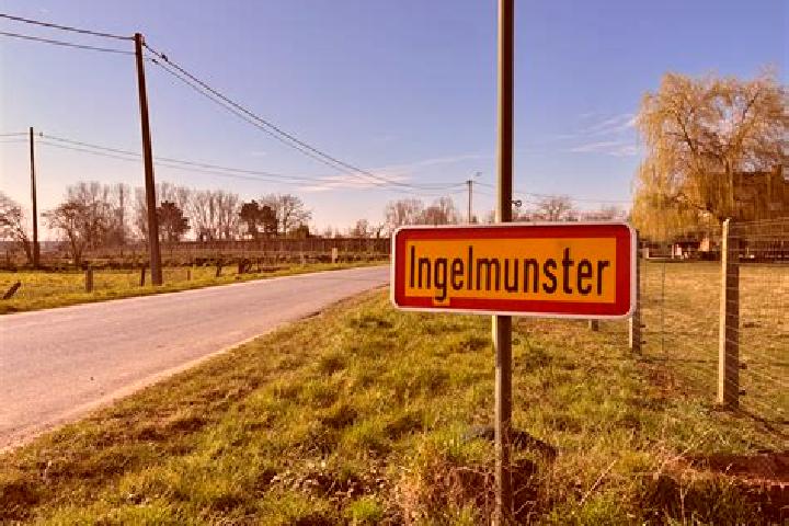 Isabella, 23 — Escort in Ingelmunster, Belgium