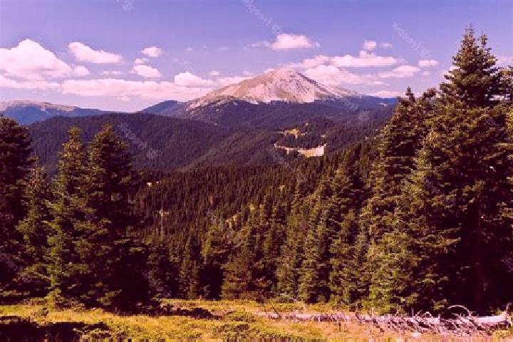 Isabella, 25 — Escort in Ilgaz, Turkey