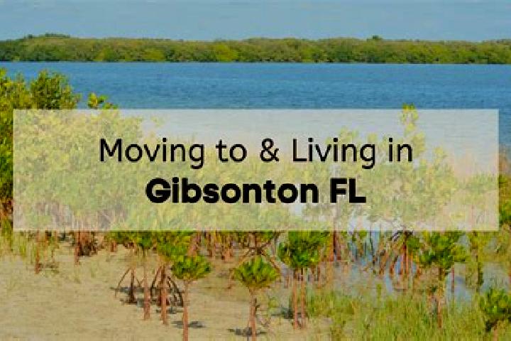 Isabella, 26 — Escort in Gibsonton, United States