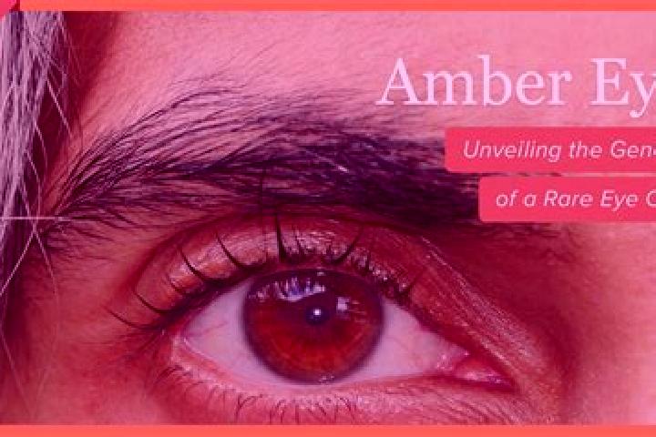 Isabella, 27, a black amber-eyed caribbean companion based in Rio Grande. Offering Dinner Date, Overnight, BDSM. Available for incall and outcall, day and ev...