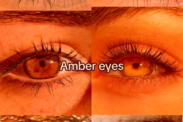 Isabella, 27, a chestnut amber-eyed indian companion based in Rheinbollen. Offering Dinner Date, OWO, A-Level, Couples, CIM. Available for incall and outcall...