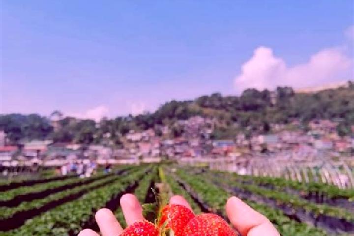 Isabella, 27 — Escort in Fraccionamiento la Trinidad, Mexico
