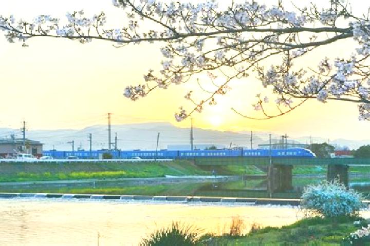 Isabella, 28 — Escort in Yukuhashi, Japan