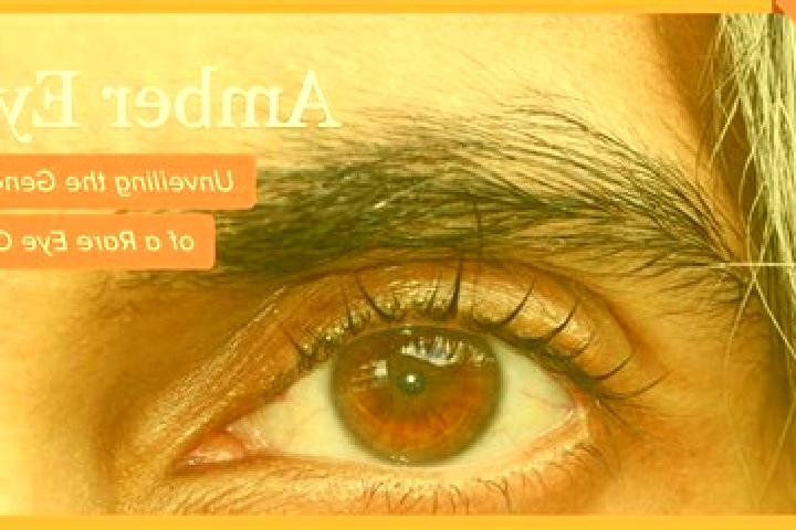 Isabella, 29, a black amber-eyed european companion based in Jiliapan. Offering Fetish, A-Level, Roleplay, GFE, Duos. Available for incall and outcall, day a...