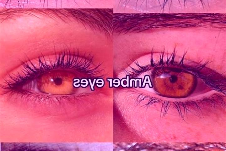 Isabella, 29, a chestnut amber-eyed european companion based in Kabir. Offering Domination, 69, CIM, Dinner Date. Available for incall and outcall, day and e...
