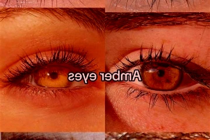Isabella, 29, a chestnut amber-eyed mixed companion based in Haymarket. Offering Overnight, Massage, CIM, Striptease. Available for incall and outcall, overn...